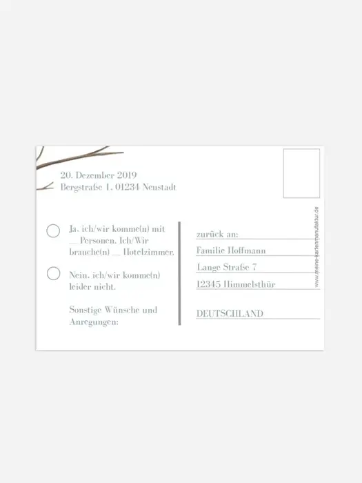 Product preview