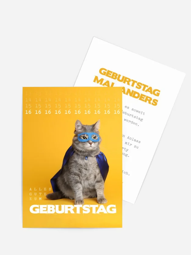 Geburtstagseinladung Katzenheld