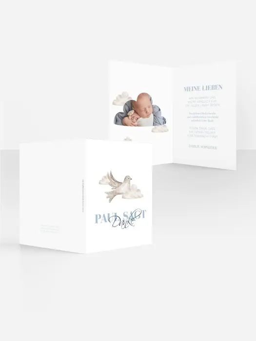 Product preview