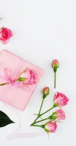 Valentinstag, rote Rosen, rotes Paket mit roter Schleife für ein verliebtes Paar