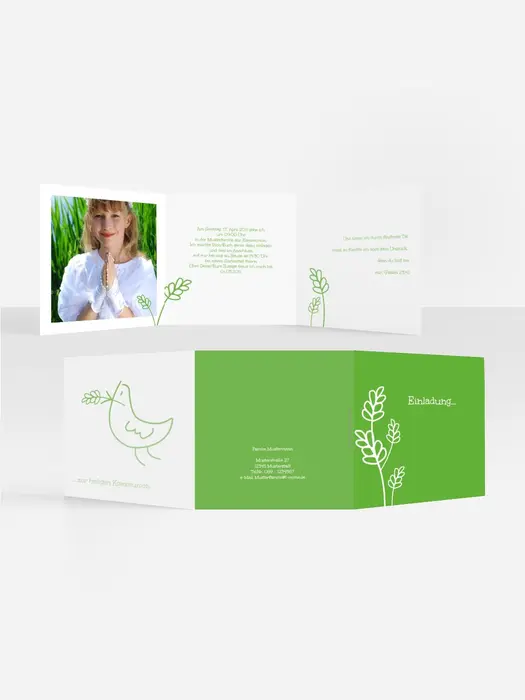 Product preview