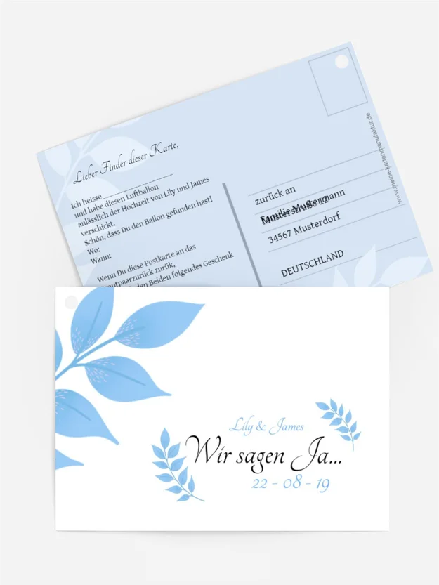 Ballonflugkarte Engelsflügel