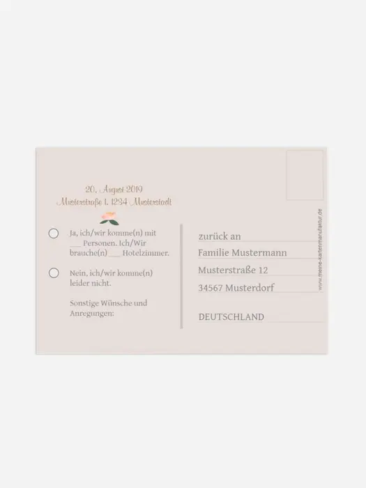 Product preview