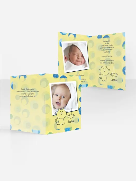 Product preview