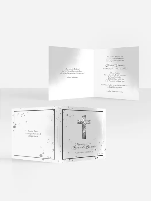 Product preview