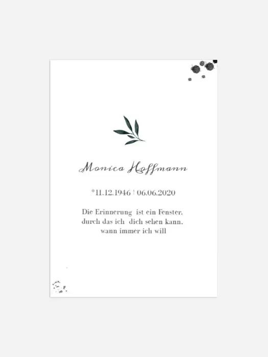 Product preview