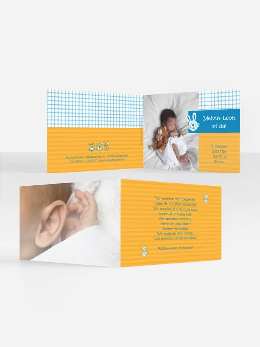Product preview