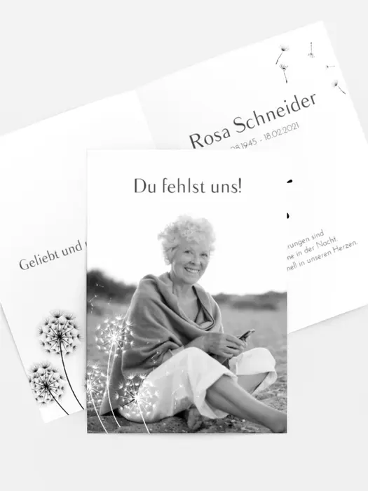 Sterbebildkarte Löwenzahnflug