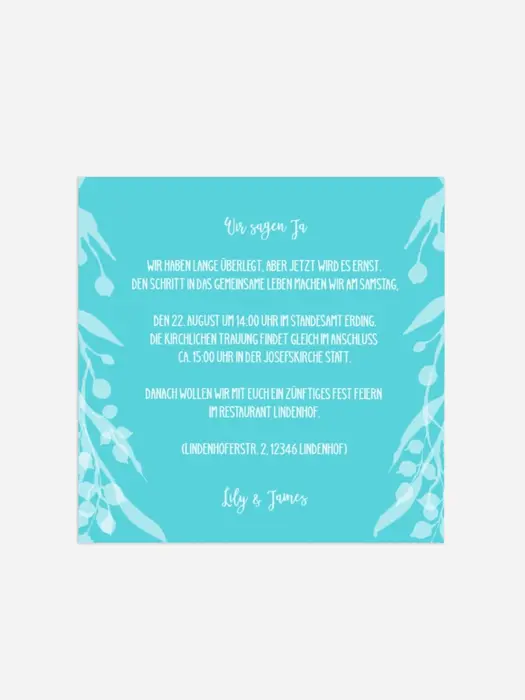 Product preview
