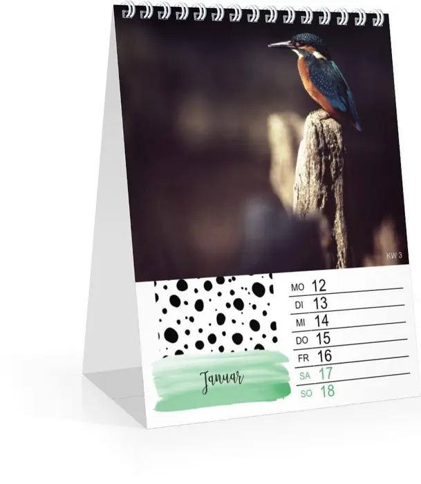 Product preview