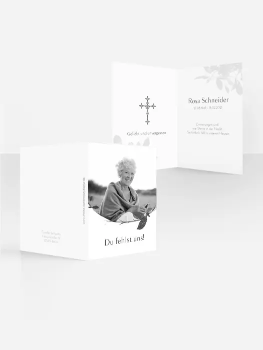Product preview