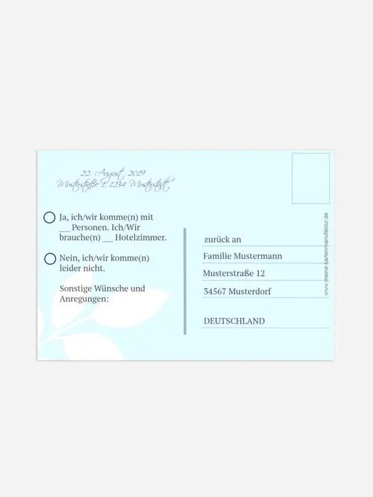 Product preview
