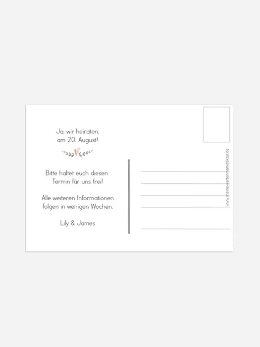 Product preview