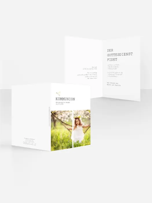 Product preview
