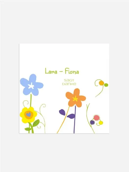 Product preview