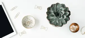 Bild von elegantem Schreibtisch in weiß mit einer Pflanze und Schale mit Büroklammern in gold zum Gestalten der Einladungskarten