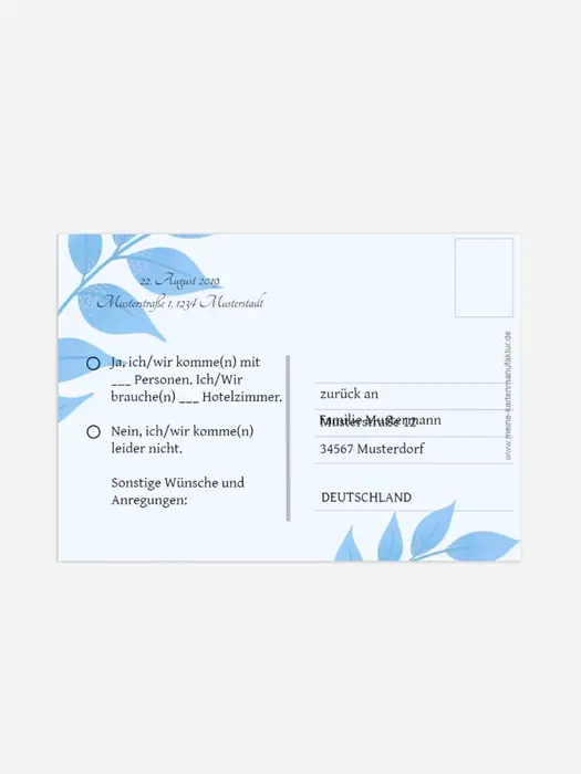 Product preview