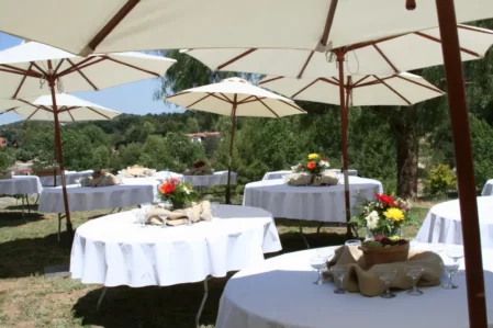 Hochzeitskosten berechnen, Günstige Alternative zum Restaurant: Gartenhochzeit