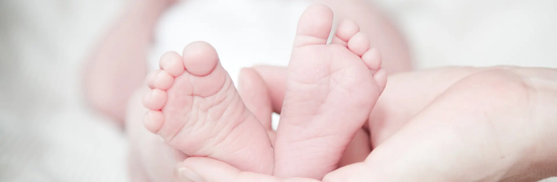 Hände von Mutter und Vater mit Füßchen vom neugeborenen Kind in der Mitte.