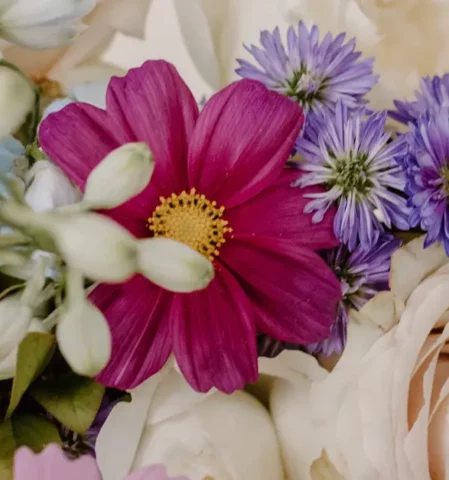 Blumen in rosa, lila und weiß, Blumen und Ihre Bedeutung und Symbolik