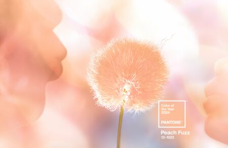 Peach Fuzz Pantone Trendfarbe 2023